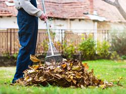 How To Tidy Up Your Yard Before Cold Weather Hits